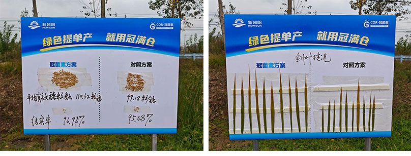 成都新朝陽(yáng)COR冠菌素入選“2025中國(guó)農(nóng)業(yè)重大新產(chǎn)品”