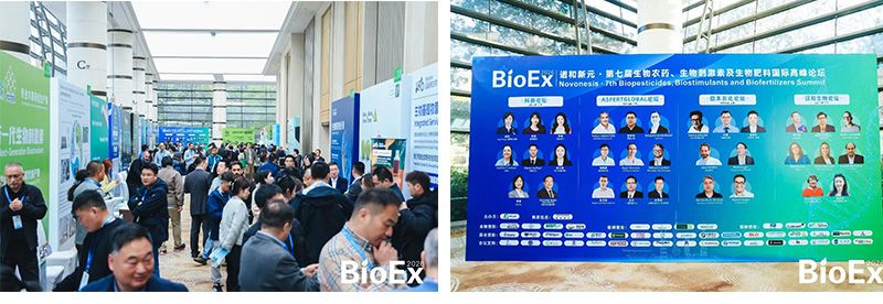 新朝陽亮相BioEx 2026：技術供給+屬地化協同，推動高性能生物刺激素高效落地