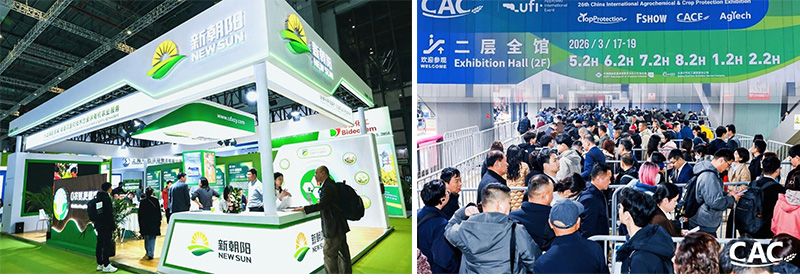 CAC 2026 | 新朝陽攜豐富產(chǎn)品矩陣亮相，全球合作再拓新局