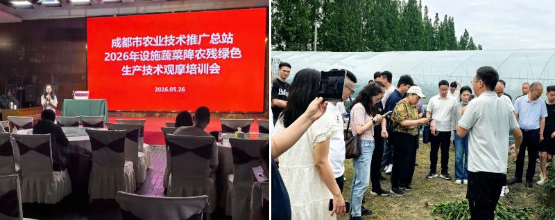 由成都市農(nóng)技推廣總站組織的“0”農(nóng)殘示范觀摩會在新津召開