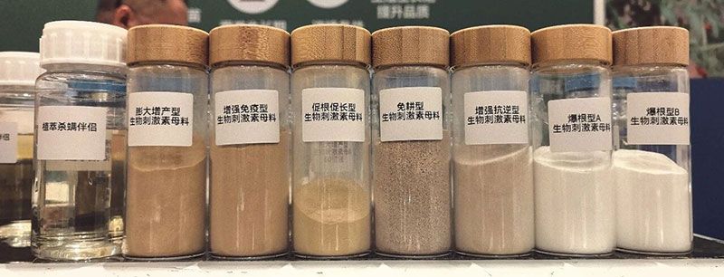 新朝陽亮相ABS 2026：聚焦生物刺激劑創新，助力農業綠色轉型